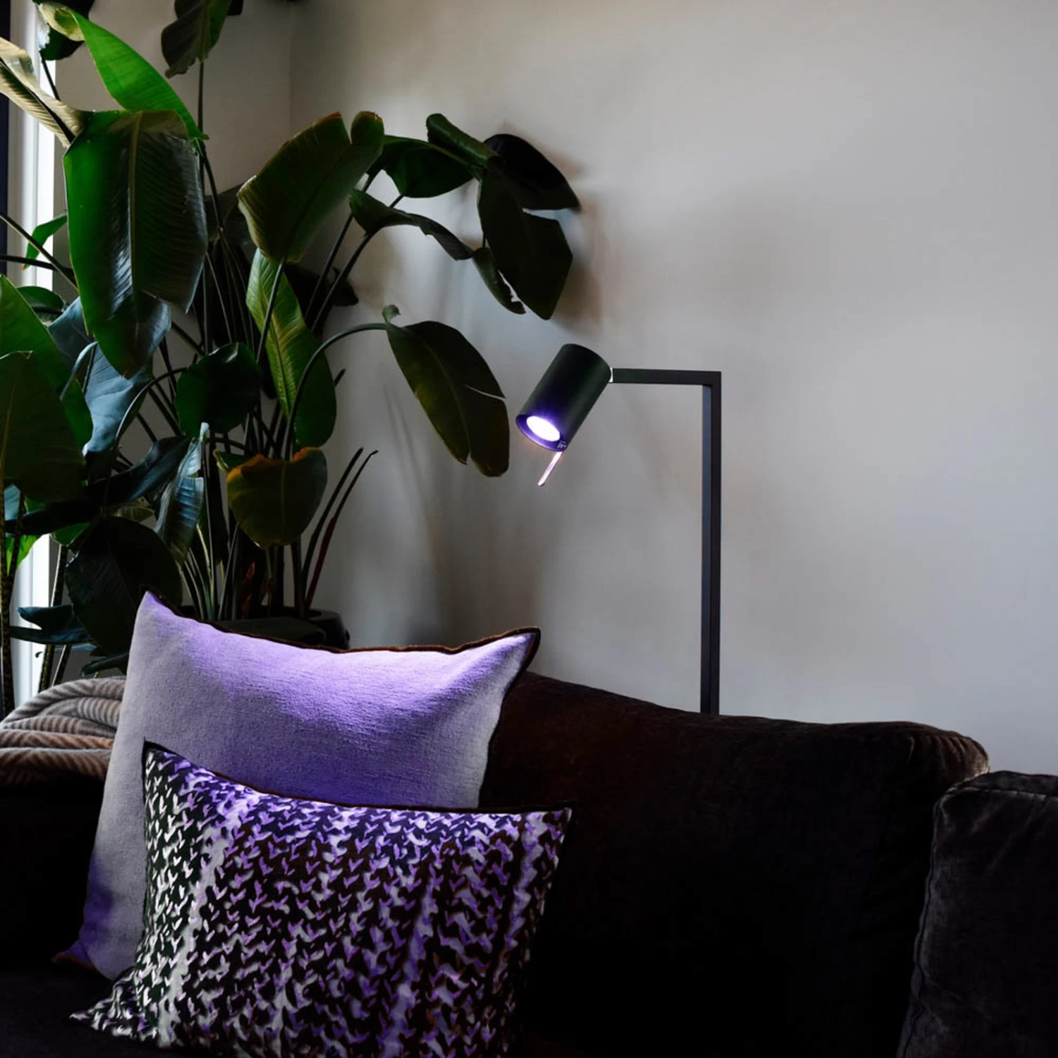 Calex Smart LED-Reflektor GU10 4,9W RGB CCT 2er – Bild 6