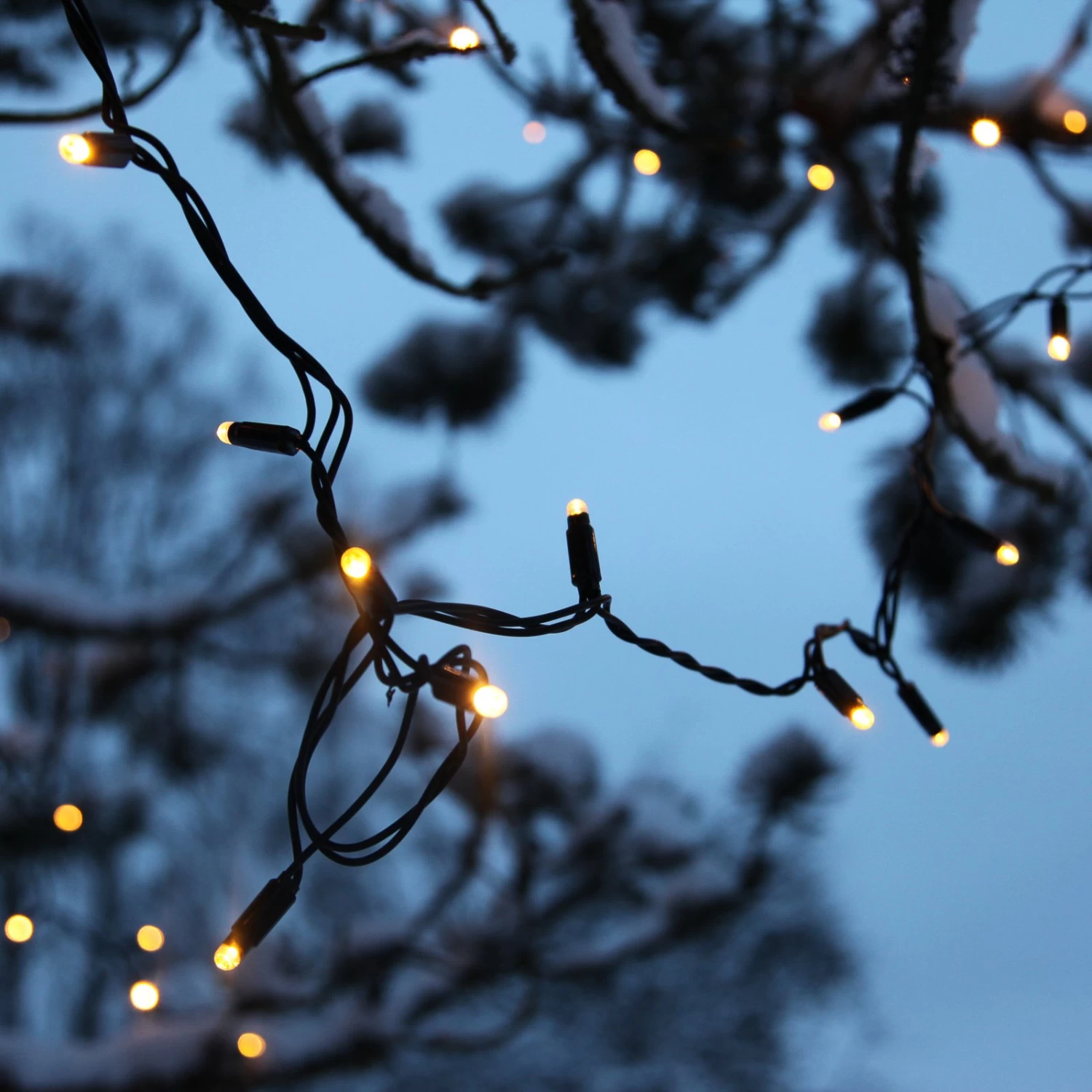 10m LED-Lichterkette Erweiterung System 24, 2.400K – Bild 2