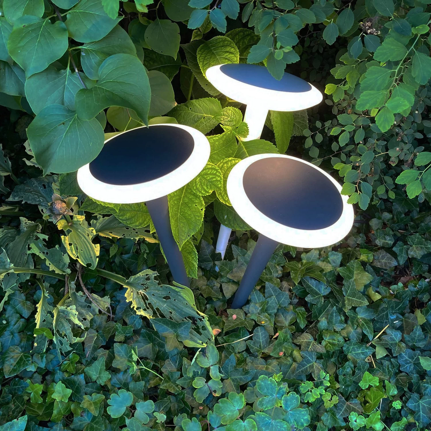 LED-Sockelleuchte Bermuda Mit Erdspieß Schwarzgrau – Bild 2