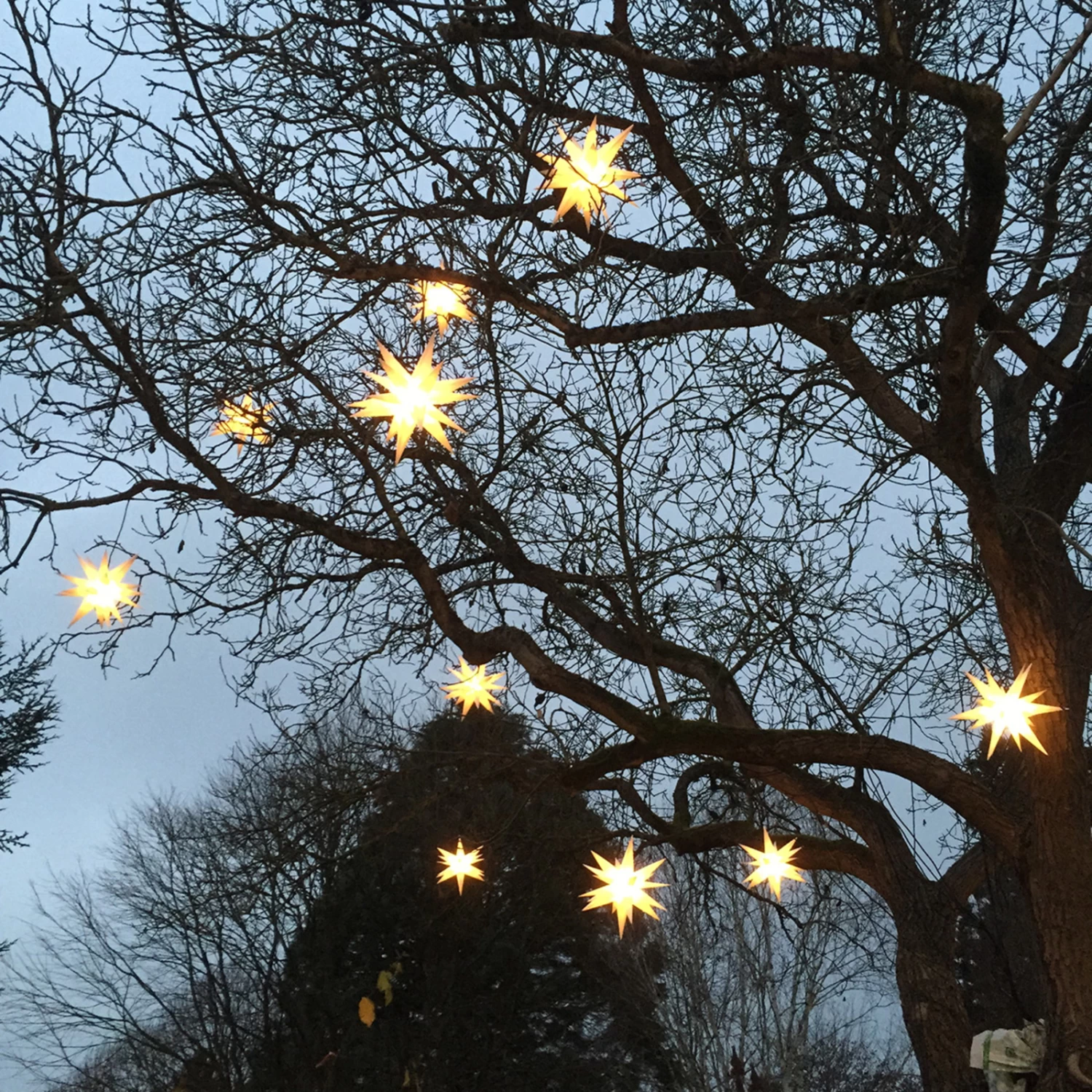 Stern Ganesha 28-zackig Für Außen In Weiß – Bild 9