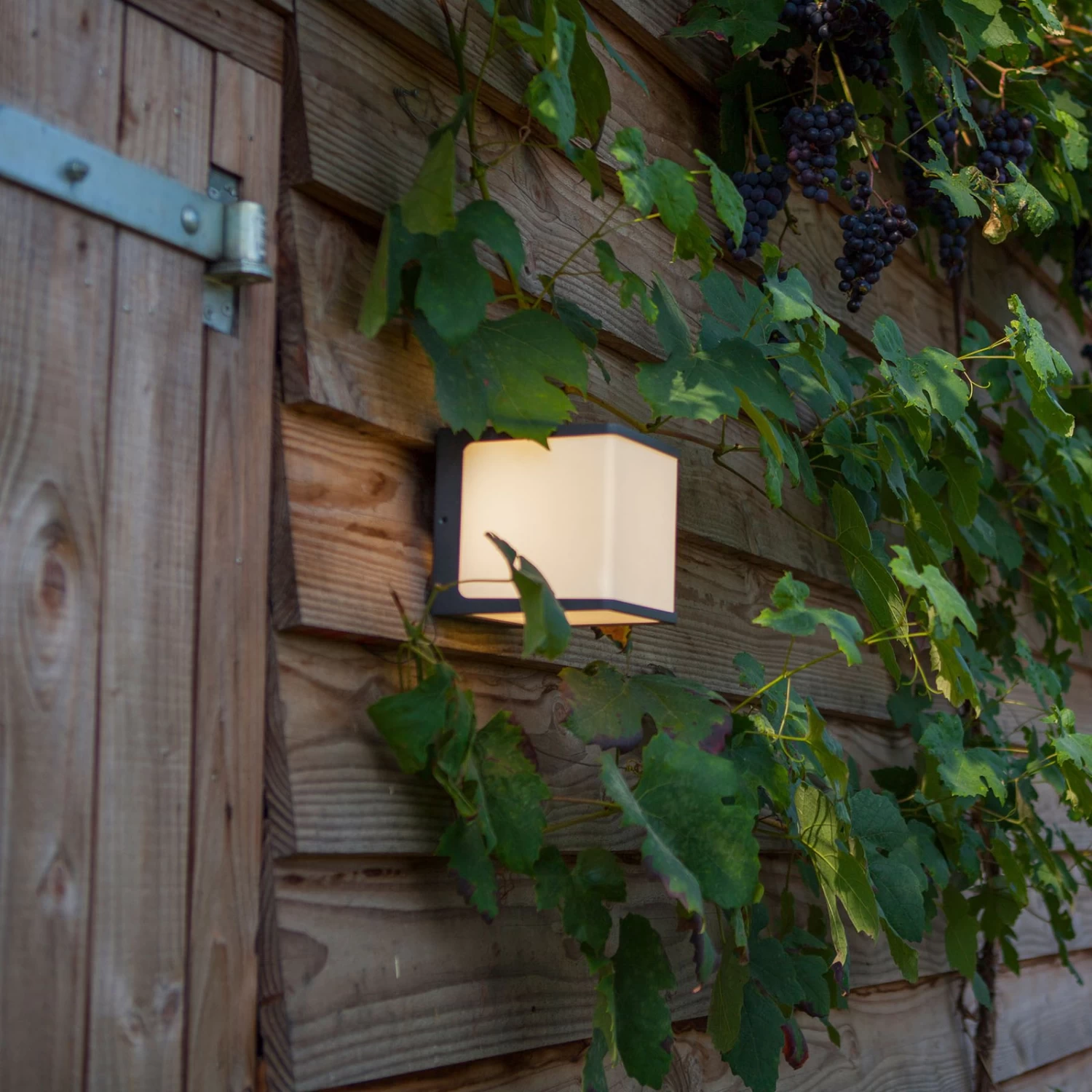 LED-Außenwandleuchte Doblo, Würfel, 15 Cm, 3.000 K – Bild 3