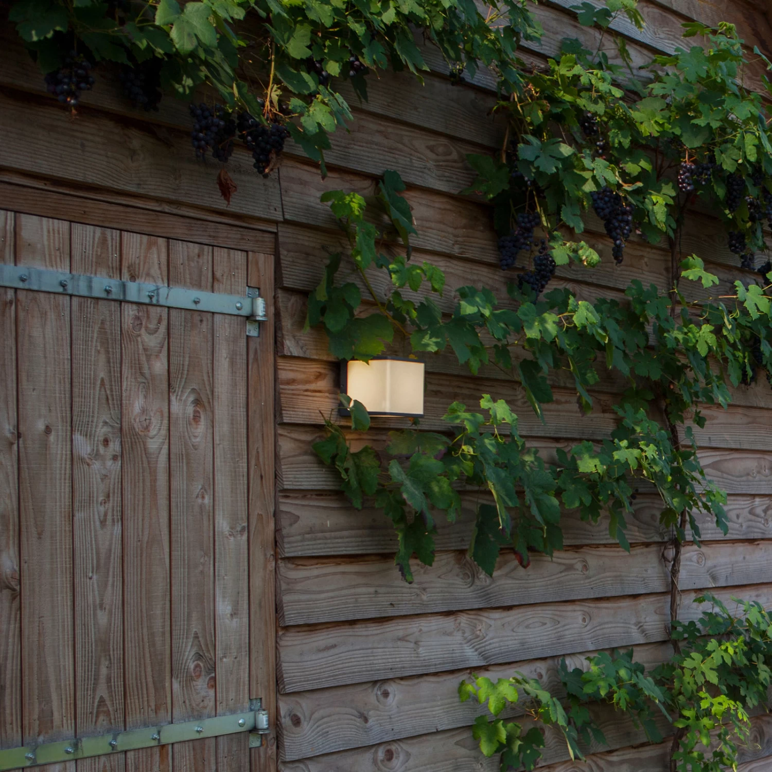 LED-Außenwandleuchte Doblo, Würfel, 15 Cm, 3.000 K – Bild 4