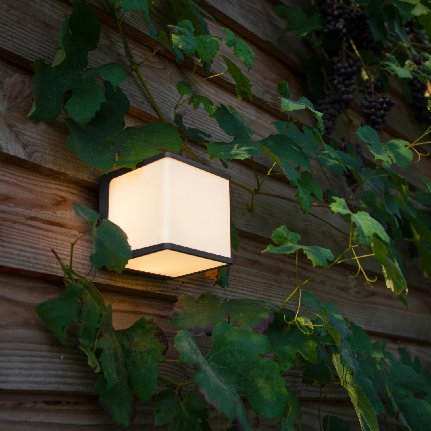 LED-Außenwandleuchte Doblo, Würfel, 15 Cm, 3.000 K – Bild 6