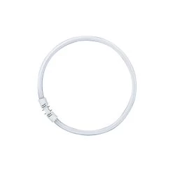 OSRAM 2Gx13 LUMILUX T5 Ring-Leuchtstofflampe 22W 840
