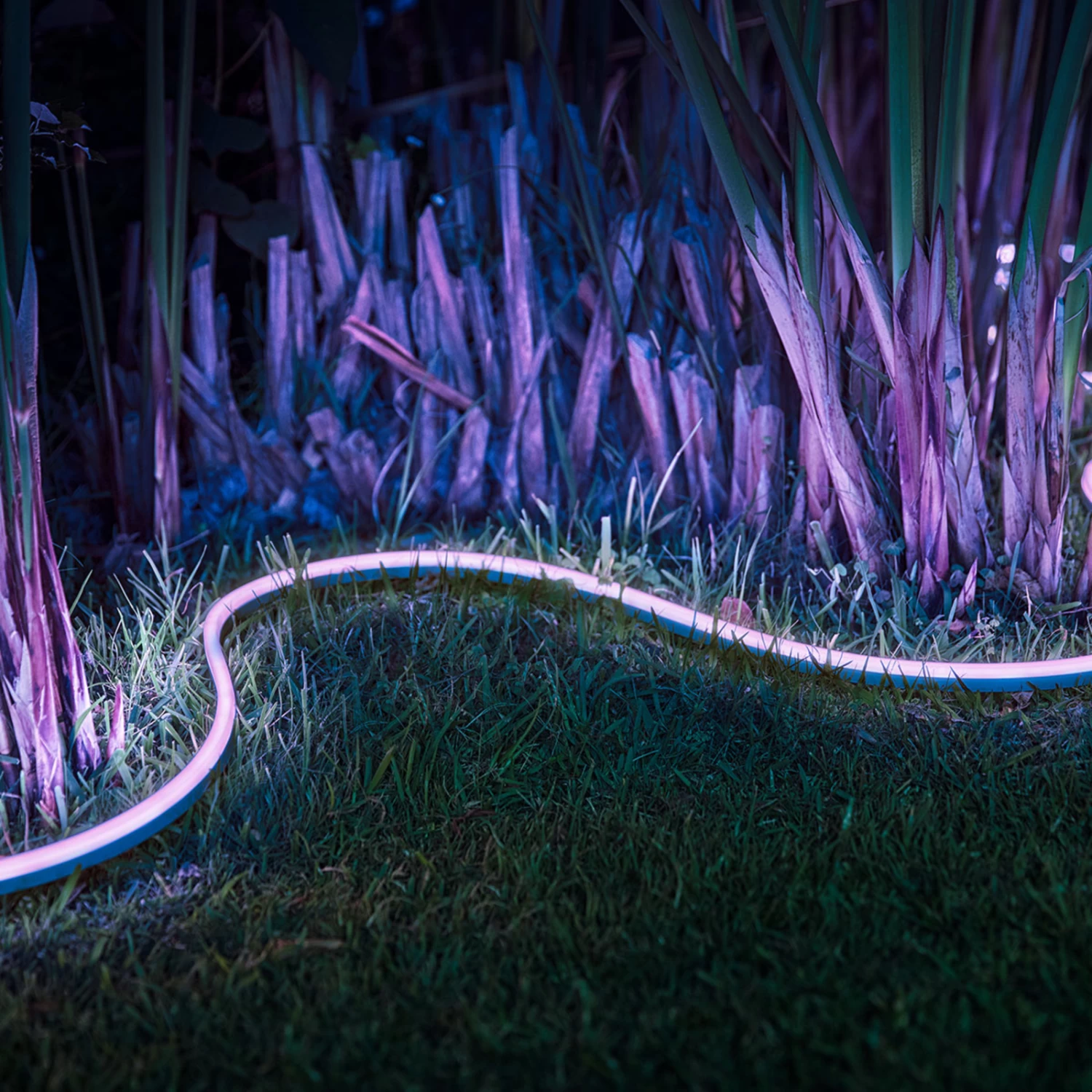 Philips Hue Lightstrip Outdoor 2m White & Color – Bild 3