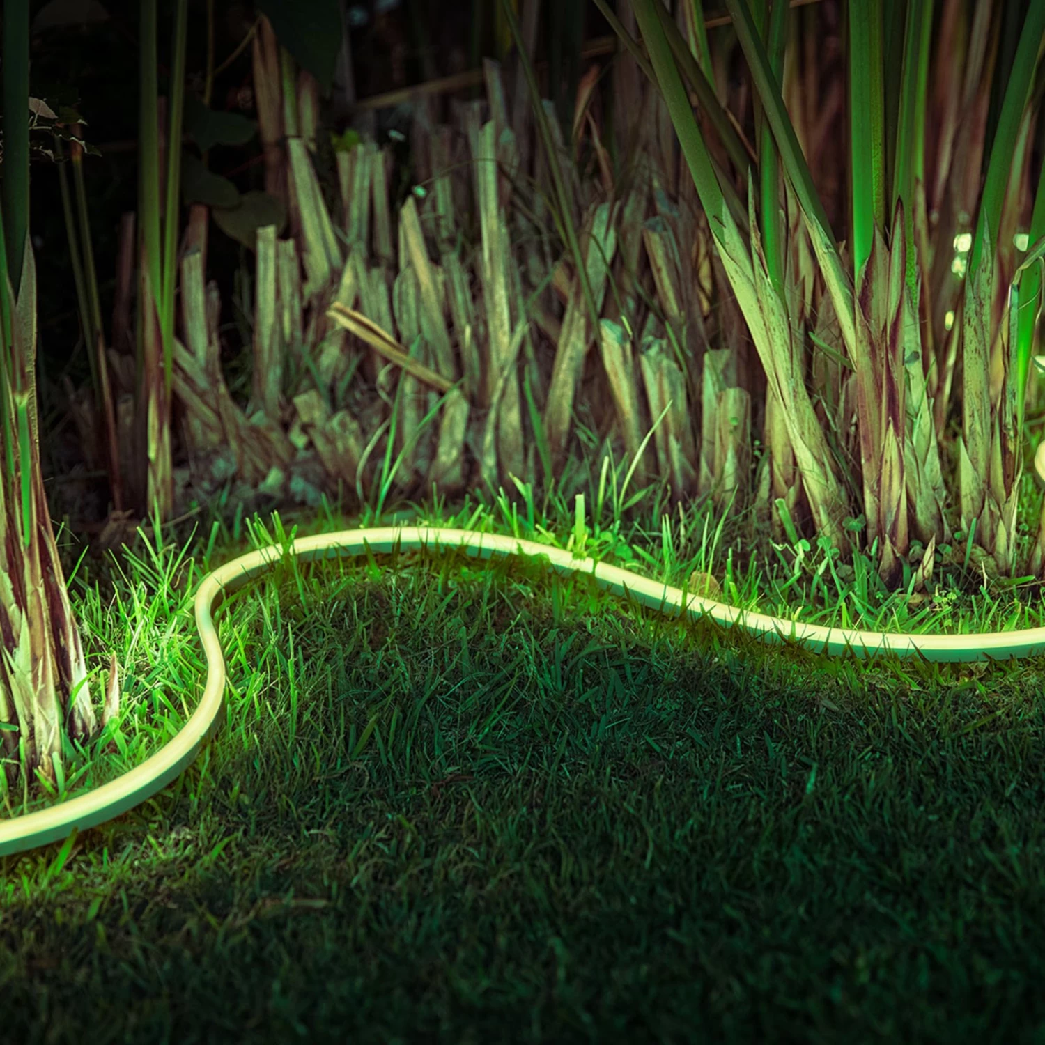 Philips Hue Lightstrip Outdoor 2m White & Color – Bild 4