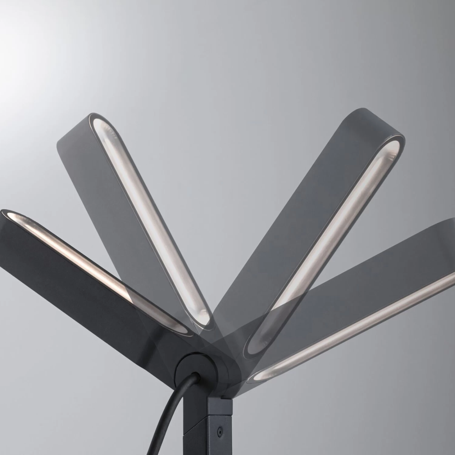 Paulmann Plug & Shine Sockellampe Ito Vertikal – Bild 4