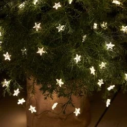 LED-Lichterkette Trille, 40-flammig, Kabel Grün