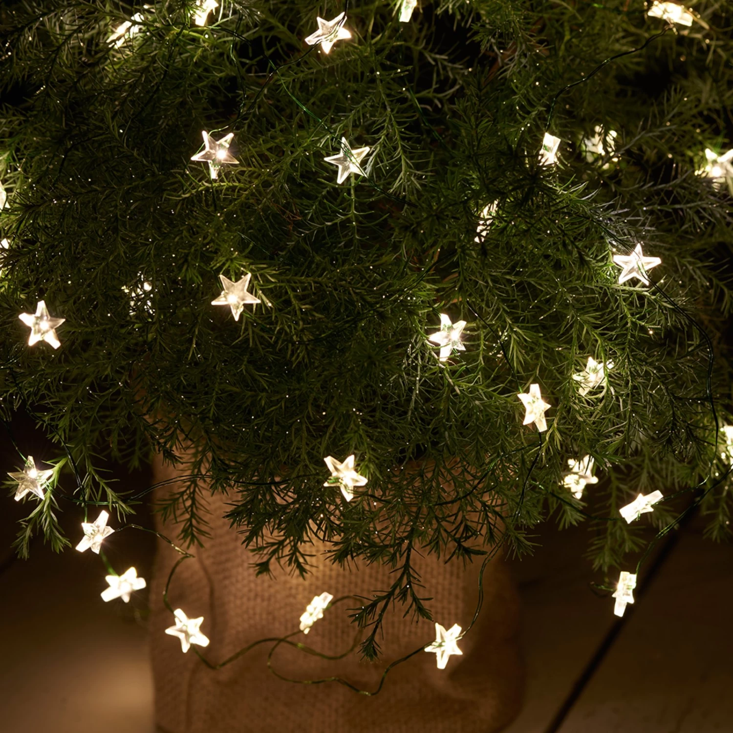 LED-Lichterkette Trille, 40-flammig, Kabel Grün