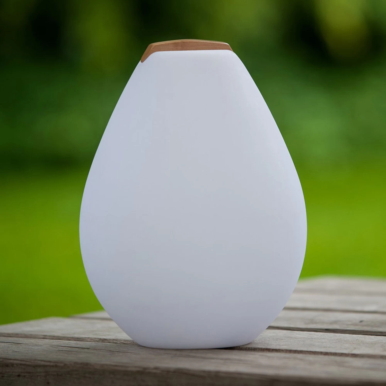 LED-Dekorationsleuchte Vessel 2S Mit Holzgriff – Bild 2